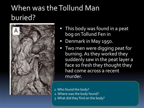 Tollund Man Facts for Kids