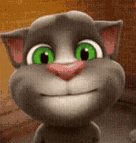 Tom Cat GIFs Tenor