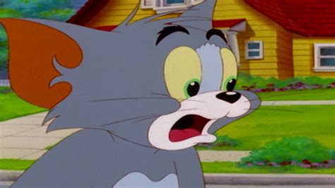 Tom and jerry where to watch. Between Tom and Jerry, we think that Jerry definitely wins in the tricking department!Catch up with Tom & Jerry as they chase each other, avoid Spike, and pl... 