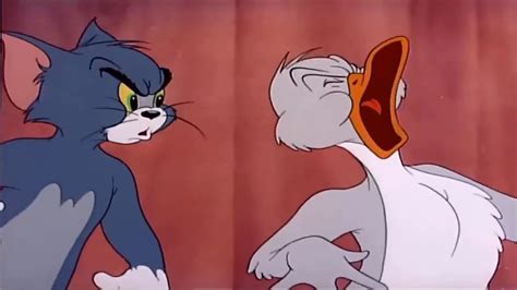 Tom and jerry youtube full episodes. Tom can't sleep, as new body-building Jerry is disturbing him. So Tom starts lifting weights, which sets up an epic battle royale between the cat and mouse.?... 