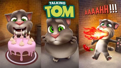 Tom the tom cat. Things To Know About Tom the tom cat. 