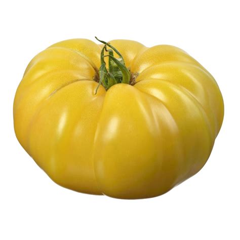Tomate jaune ancienne