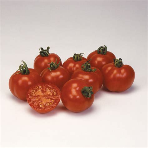 Tomato (Heritage) Bloody Butcher Seeds From D. T.