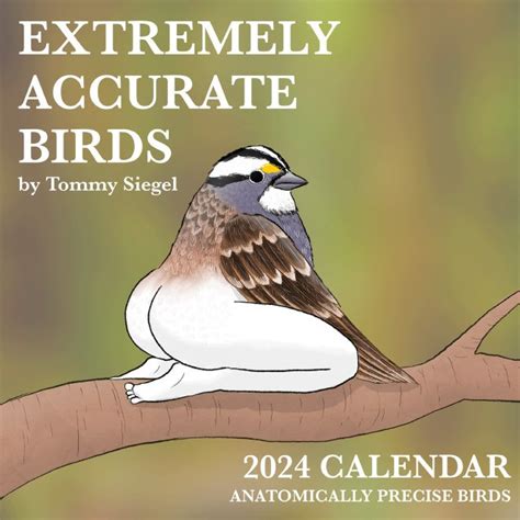 Tommy Siegel Bird Calendar