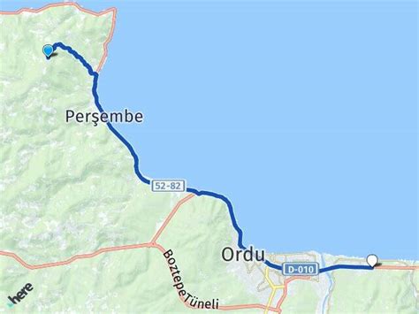 Tongelduzu Halı ve Koltuk Yıkama