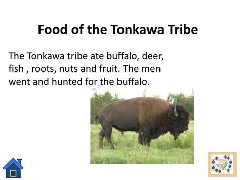 Tonkawa tribe food. ... Tonkawa Indian Tribe (Tichkan-Watich, Tonkaway, Toncahua). Tonkawa language information and introduction to the culture of the Tonkawa Indians. Visit. Save. 