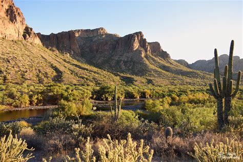 Tonto national forest arizona. Things To Know About Tonto national forest arizona. 