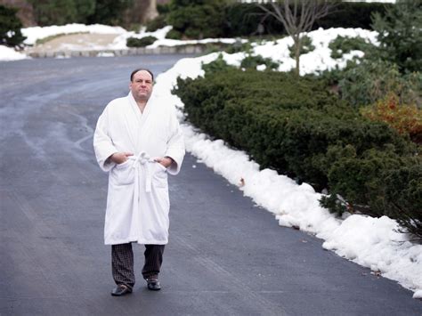 Tony soprano robe. Dec 25, 2023 · You are watching:: Tony Soprano's Robes Are My Quarantine Fashion Inspiration There’s a lot of great fashion in the six seasons of the HBO drama—fantastic button-down shirts, Silvio’s impeccable suits, the women’s wardrobes that perfectly encapsulated the New Jersey style of the early 2000s. 