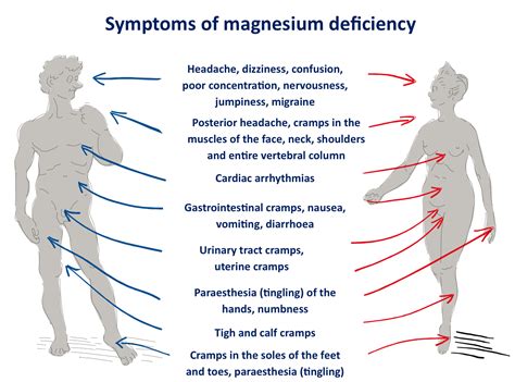 Too much magnesium symptoms reddit. It's much more likely that your symptoms were caused by too much zinc or B6 rather than magnesium. Intracellular mag levels that are too high and antagonize calcium absorption are almost never seen, especially in the developed world where there's so little magnesium in food and water. 