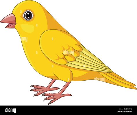 Showing 867 royalty-free vectors for Canary Cartoon. The best select