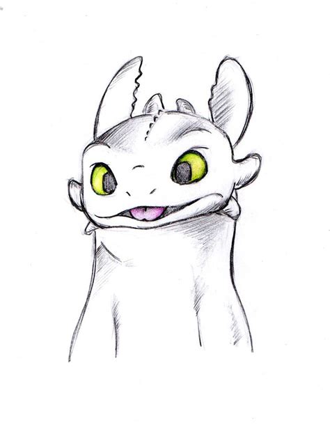 Toothless Drawings Easy