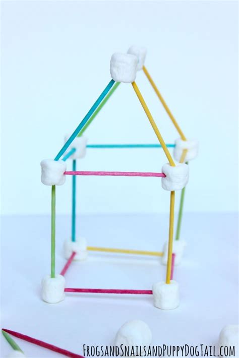 Toothpick and Marshmallow Building FSPDT