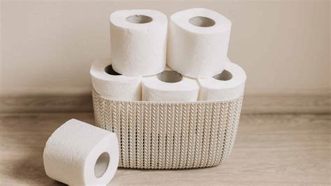 Top 10 Best 2 Ply Toilet Paper For Septic Systems Reviews (2024)