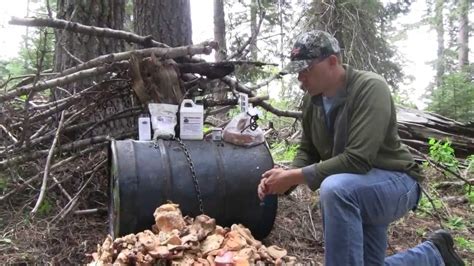 Top 10 Best Bait For Black Bear Hunting With Buying Guide