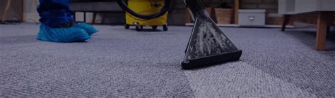 Top 10 Best Carpet Cleaners in Jackson WY Angi