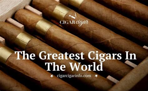 Top 10 Best Cigar Bars in Chicago, IL - February 2024 - Yelp