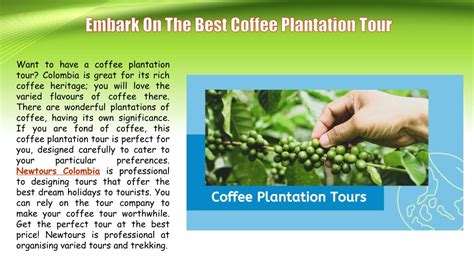 Top 10 Best Coffee Plantation Tour in Maui, HI - Yelp