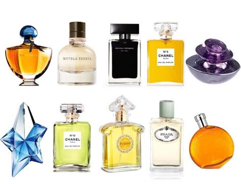 Top 10 Best Designer Fragrances Every Beginner Should …