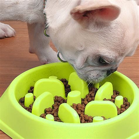 Top 10 Best Dog Bowl To Slow Eating Top Picks 2024 Reviews