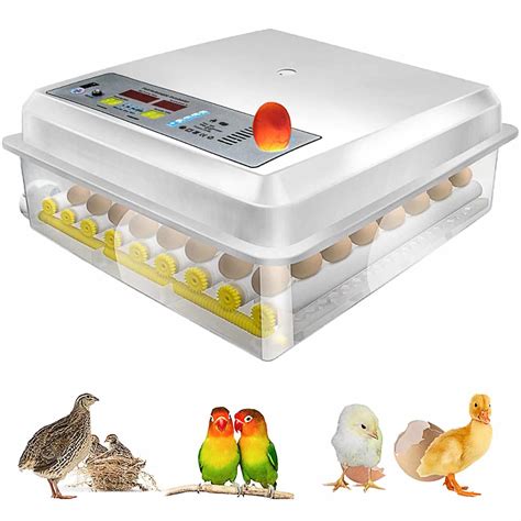 Top 10 Best Incubator For Duck Eggs Top Picks 2024 Reviews