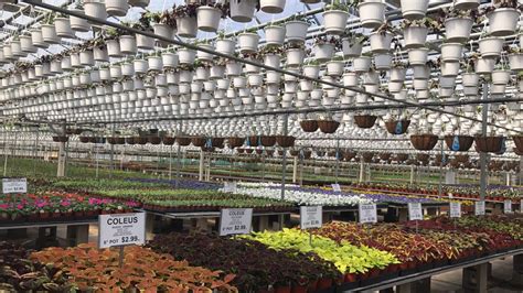 Top 10 Best Nurseries in Monroe Township, NJ Angi