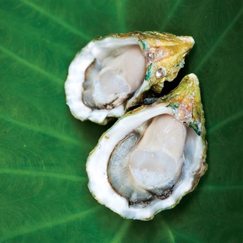 Top 10 Best Oysters in Maui, HI - July 2024 - Yelp