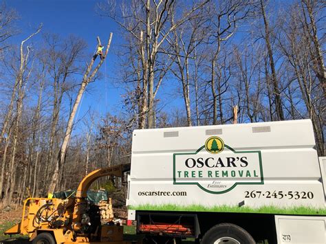 Top 10 Best Tree Service in Meadowview, VA Angi