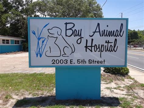 Top 10 Best Veterinary Clinic in Panama City, FL - Yelp