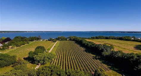 Top 10 Best Vineyards On The North Fork Top Picks 2024 Reviews