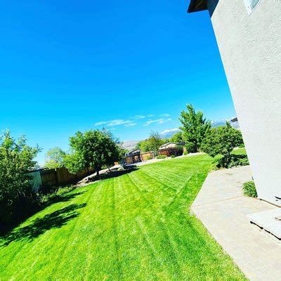 Top 10 Best Yard Maintenance in Reno, NV - April 2024 - Yelp