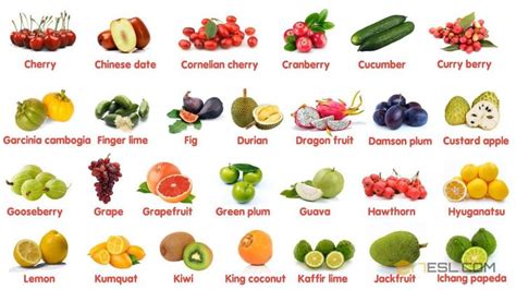 Top 10 Fruits You