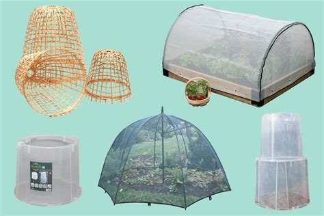 Top 10 Garden Cloches of 2024 - Best Reviews Guide