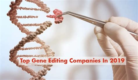 Top 10 Gene Editing Companies With High Prospects