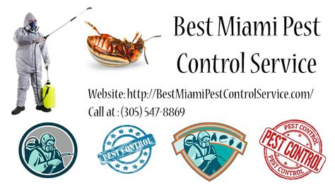 Top 10 Green Pest Control Services in Miami, FL 2024