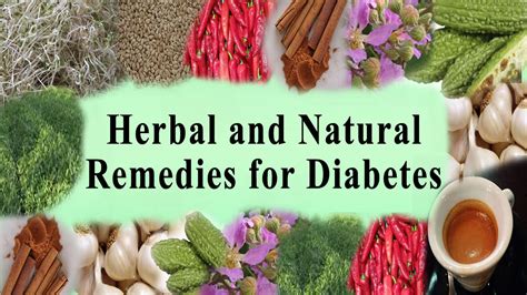 Top 10 Herbal Remedies To Treat Diabetes