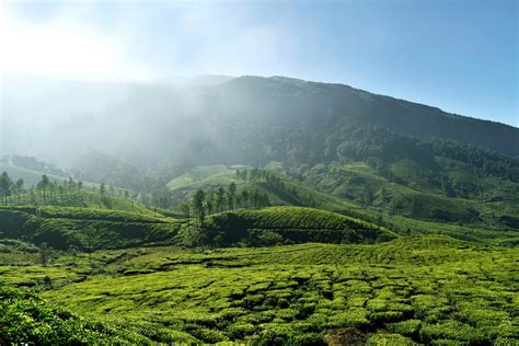 Top 10 Heritage places in Kerala: Immersing into the Culture