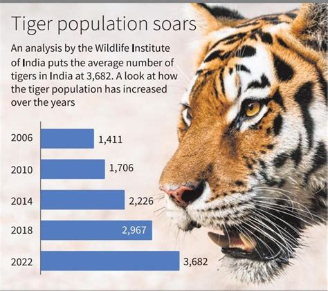 Top 10 Indian States by Maximum Tiger Population in 2024