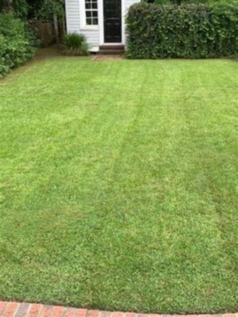 Top 10 Lawn Mowing Services in Florence, SC 2024 - Porch