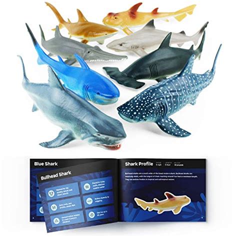 Top 10 Shark Toys For Toddlers of 2024 - Best Reviews Guide