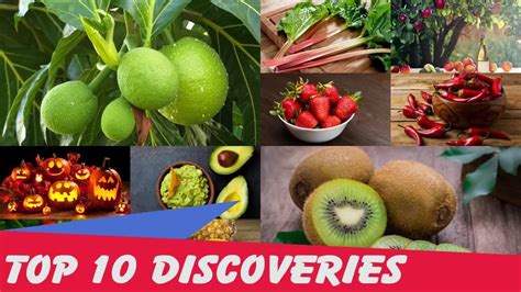 Top 10 Surprising Histories Of Common Fruits - Listverse