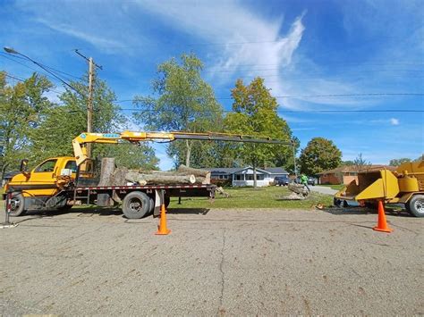 Top 10 Tree Services - Ravenna OH with Reviews Tree Removal