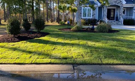 Top 10 Trees Services in Shallotte, NC 2024 - Porch