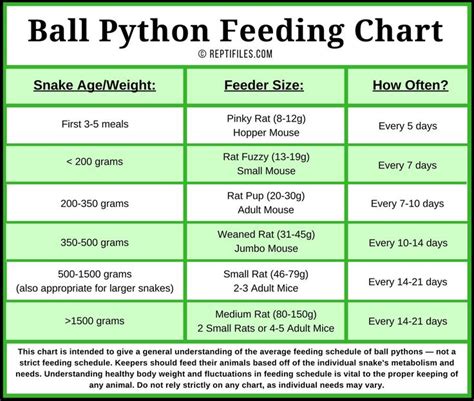 Top 10 ball python feeding chart by weight You Need To Know