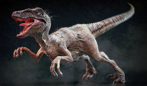 Wikimedia Commons. Today, paleontologists believe that most theropod dinosaurs (including raptors and tyrannosaurs) sported feathers at some stage in their life cycles.To date, no direct evidence has been adduced for Deinonychus having feathers, but the proven existence of other feathered raptors (such as Velociraptor) implies that this …. 