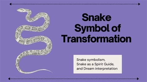 Top 15 Symbols of Transformation With Meanings - Give …