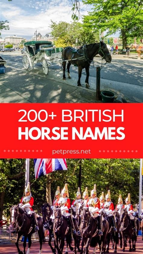 Top 200+ British Horse Names: List of Famous Horse Names in …