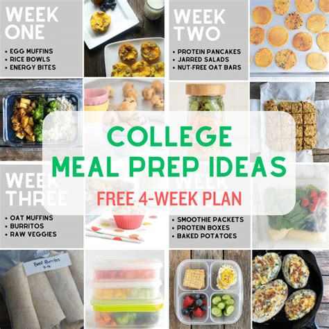 Top 3 Healthy Meal Kits For College Students 2024 Review