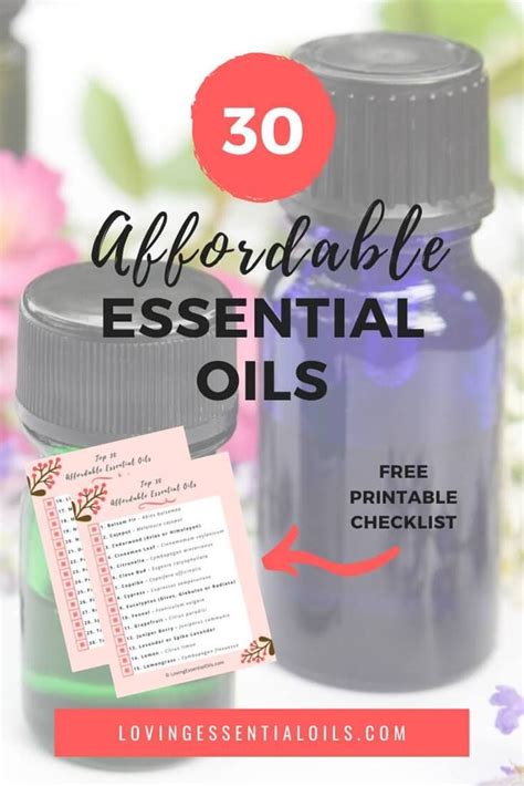 Top 30 Affordable Essential Oils for a Limited Budget – Loving ...