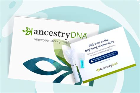 Top 4 Best DNA Ancestry Test Kits of 2024 - [Reviews & Infographic]