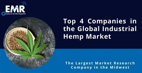 Top 4 Companies in the Global Industrial Hemp Market